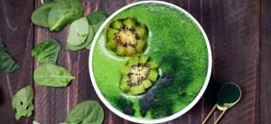 chlorella alga