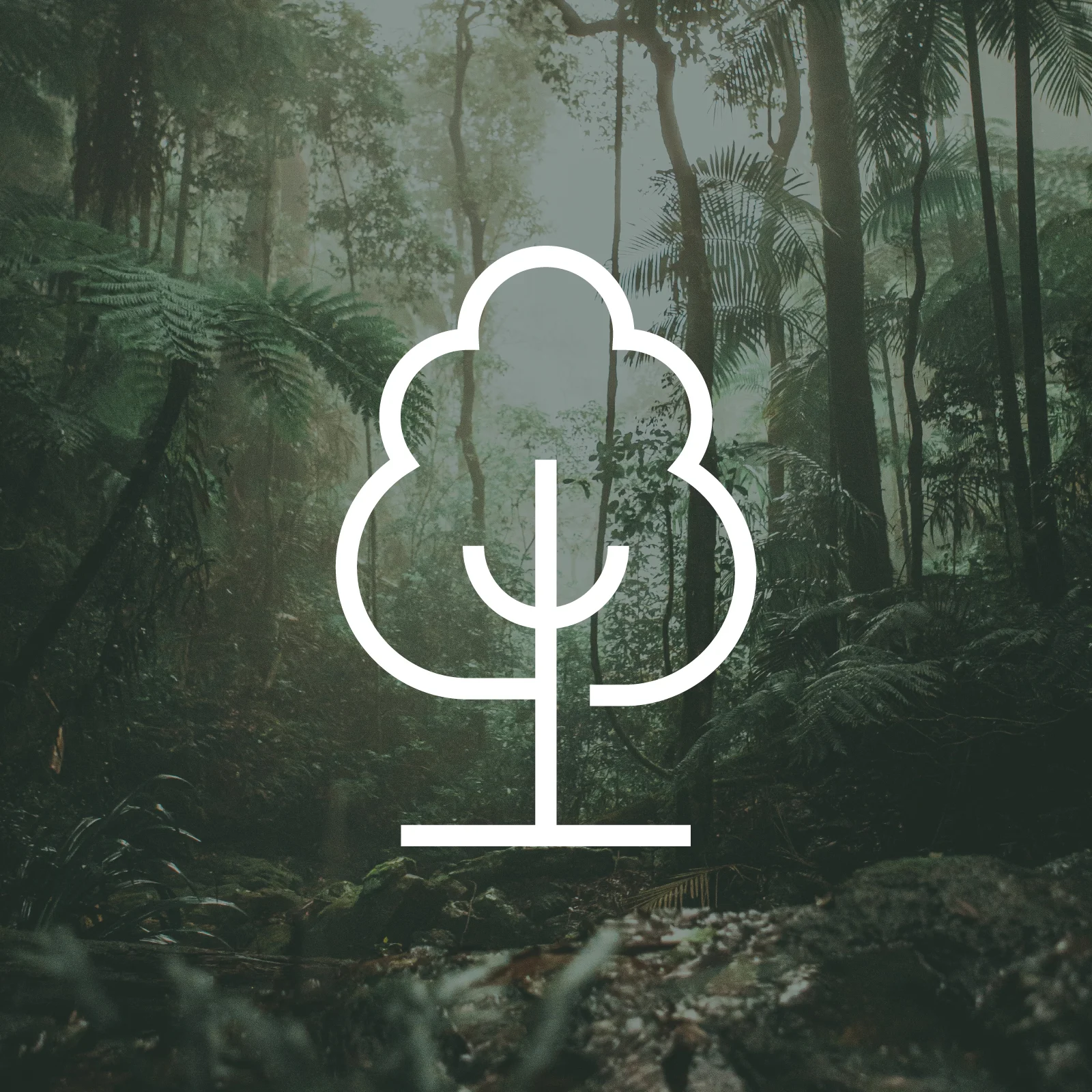 1 Tree Planted via THG (More Trees) kép 1
