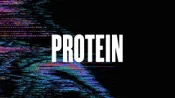 Protein
