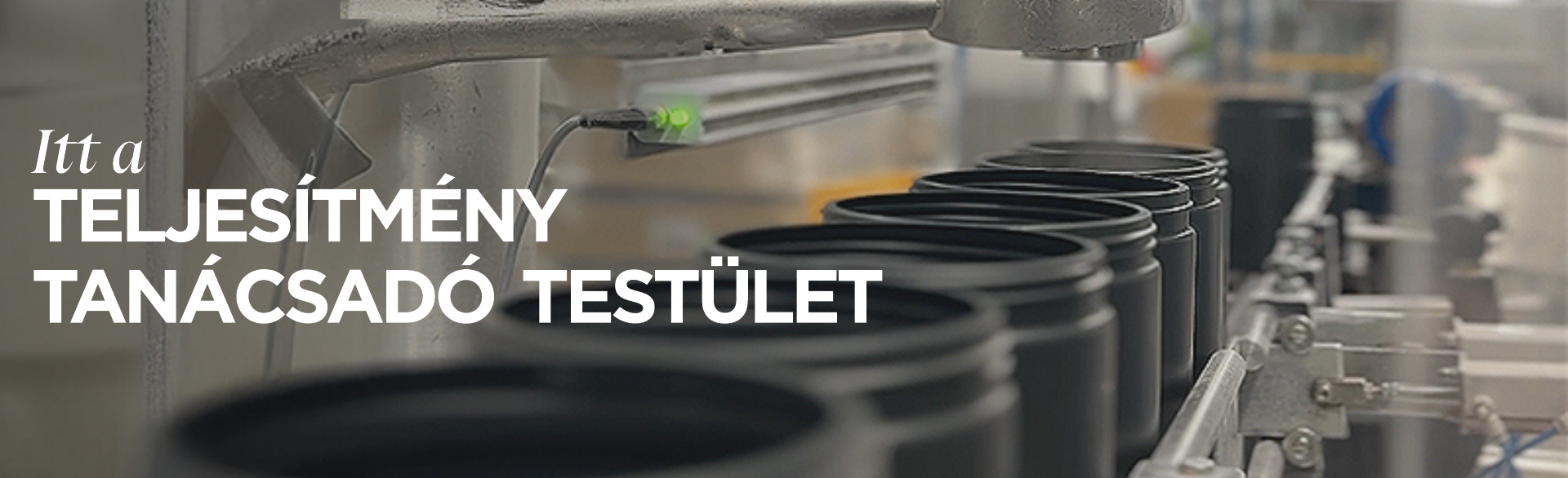 A Teljesítmény Tanácsadó Testületünk